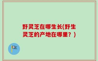 野灵芝在哪生长(野生灵芝的产地在哪里？)