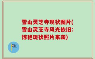 雪山灵芝寺现状图片(雪山灵芝寺风光依旧：惊艳现状照片来袭)