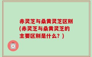 赤灵芝与桑黄灵芝区别(赤灵芝与桑黄灵芝的主要区别是什么？)