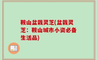 鞍山盆栽灵芝(盆栽灵芝：鞍山城市小资必备生活品)