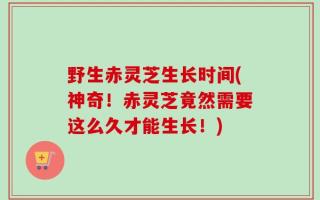 野生赤灵芝生长时间(神奇！赤灵芝竟然需要这么久才能生长！)