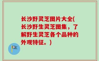 长沙野灵芝图片大全(长沙野生灵芝图集，了解野生灵芝各个品种的外观特征。)