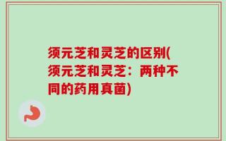 须元芝和灵芝的区别(须元芝和灵芝：两种不同的药用真菌)