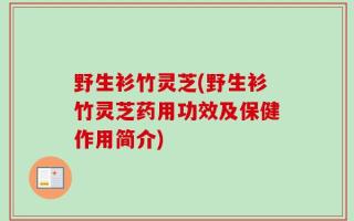 野生衫竹灵芝(野生衫竹灵芝药用功效及保健作用简介)