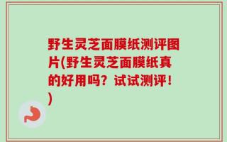 野生灵芝面膜纸测评图片(野生灵芝面膜纸真的好用吗？试试测评！)