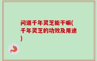 问道千年灵芝能干嘛(千年灵芝的功效及用途)