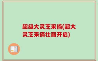 超级大灵芝采摘(超大灵芝采摘壮丽开启)