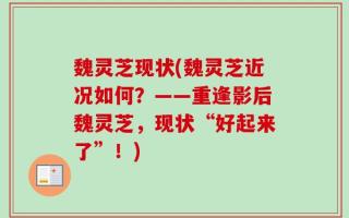 魏灵芝现状(魏灵芝近况如何？——重逢影后魏灵芝，现状“好起来了”！)