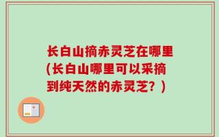 长白山摘赤灵芝在哪里(长白山哪里可以采摘到纯天然的赤灵芝？)