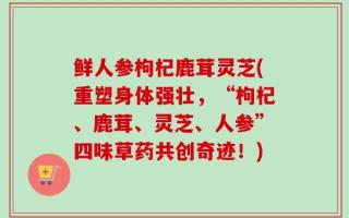 鲜人参枸杞鹿茸灵芝(重塑身体强壮，“枸杞、鹿茸、灵芝、人参”四味草药共创奇迹！)