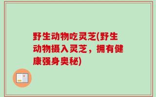 野生动物吃灵芝(野生动物摄入灵芝，拥有健康强身奥秘)