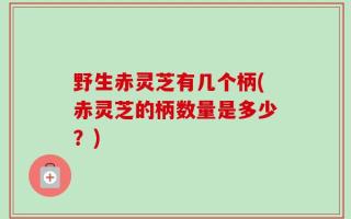 野生赤灵芝有几个柄(赤灵芝的柄数量是多少？)