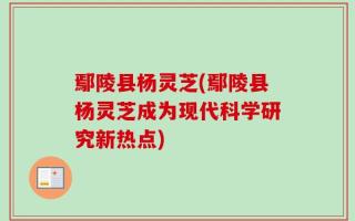 鄢陵县杨灵芝(鄢陵县杨灵芝成为现代科学研究新热点)