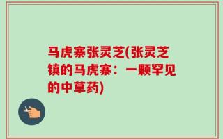 马虎寨张灵芝(张灵芝镇的马虎寨：一颗罕见的中草药)