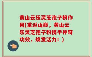 黄山云乐灵芝孢子粉作用(重返山巅，黄山云乐灵芝孢子粉携手神奇功效，焕发活力！)