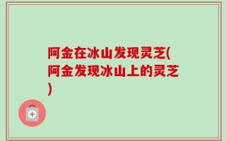 阿金在冰山发现灵芝(阿金发现冰山上的灵芝)