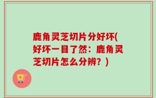 鹿角灵芝切片分好坏(好坏一目了然：鹿角灵芝切片怎么分辨？)
