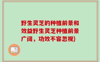 野生灵芝的种植前景和效益野生灵芝种植前景广阔，功效不容忽视)
