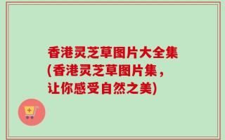 香港灵芝草图片大全集(香港灵芝草图片集，让你感受自然之美)