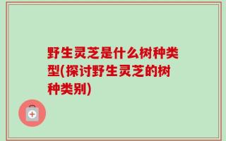 野生灵芝是什么树种类型(探讨野生灵芝的树种类别)