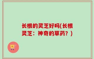 长根的灵芝好吗(长根灵芝：神奇的草药？)