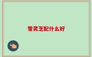 雪灵芝配什么好