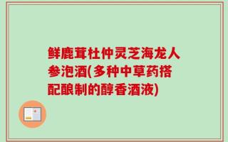 鲜鹿茸杜仲灵芝海龙人参泡酒(多种中草药搭配酿制的醇香酒液)