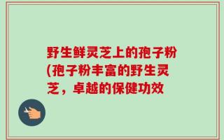 野生鲜灵芝上的孢子粉(孢子粉丰富的野生灵芝，卓越的保健功效
