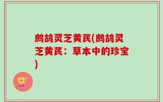 鹧鸪灵芝黄芪(鹧鸪灵芝黄芪：草本中的珍宝)