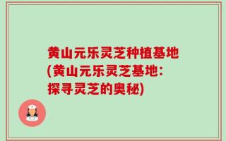 黄山元乐灵芝种植基地(黄山元乐灵芝基地：探寻灵芝的奥秘)