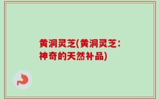 黄洞灵芝(黄洞灵芝：神奇的天然补品)