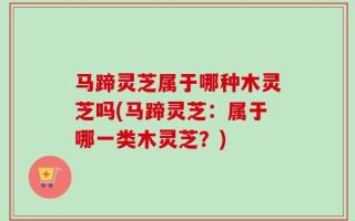 马蹄灵芝属于哪种木灵芝吗(马蹄灵芝：属于哪一类木灵芝？)