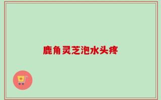 鹿角灵芝泡水头疼