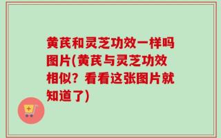 黄芪和灵芝功效一样吗图片(黄芪与灵芝功效相似？看看这张图片就知道了)