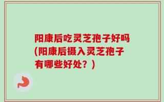 阳康后吃灵芝孢子好吗(阳康后摄入灵芝孢子有哪些好处？)