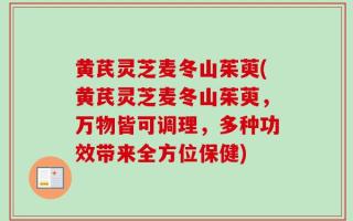 黄芪灵芝麦冬山茱萸(黄芪灵芝麦冬山茱萸，万物皆可调理，多种功效带来全方位保健)
