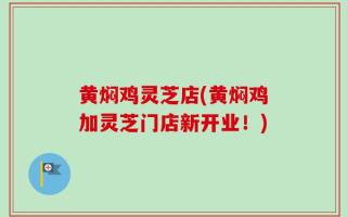 黄焖鸡灵芝店(黄焖鸡加灵芝门店新开业！)