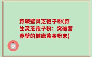 野破壁灵芝孢子粉(野生灵芝孢子粉：突破营养壁的健康黄金粉末)