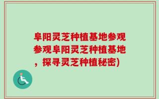 阜阳灵芝种植基地参观参观阜阳灵芝种植基地，探寻灵芝种植秘密)