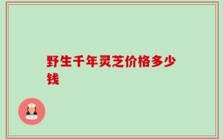 野生千年灵芝价格多少钱