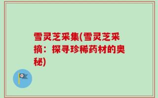 雪灵芝采集(雪灵芝采摘：探寻珍稀药材的奥秘)