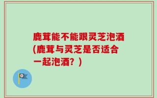 鹿茸能不能跟灵芝泡酒(鹿茸与灵芝是否适合一起泡酒？)