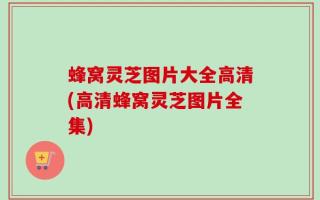 蜂窝灵芝图片大全高清(高清蜂窝灵芝图片全集)