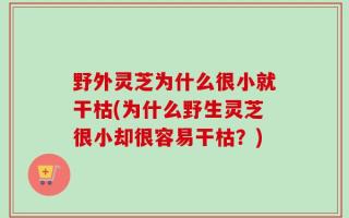 野外灵芝为什么很小就干枯(为什么野生灵芝很小却很容易干枯？)