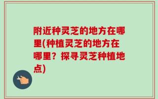 附近种灵芝的地方在哪里(种植灵芝的地方在哪里？探寻灵芝种植地点)