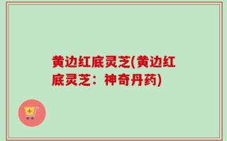 黄边红底灵芝(黄边红底灵芝：神奇丹药)