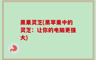 黑果灵芝(黑苹果中的灵芝：让你的电脑更强大)