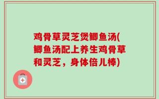 鸡骨草灵芝煲鲫鱼汤(鲫鱼汤配上养生鸡骨草和灵芝，身体倍儿棒)