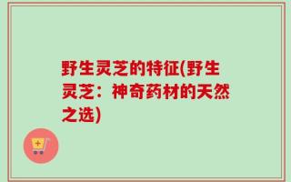 野生灵芝的特征(野生灵芝：神奇药材的天然之选)