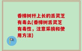 香樟树杆上长的舌灵芝有毒么(香樟树舌灵芝有毒性，注意采摘和使用方法)